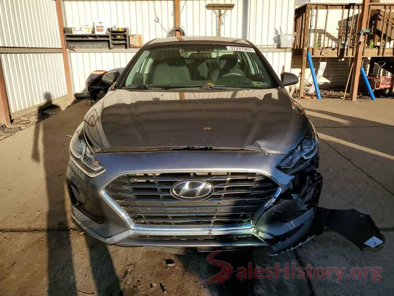 5NPE24AF4KH786496 2019 HYUNDAI SONATA