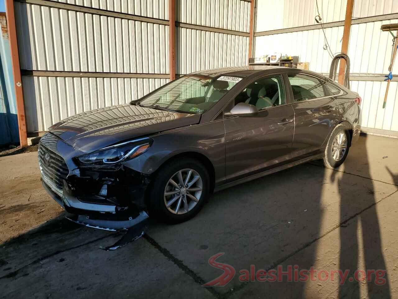 5NPE24AF4KH786496 2019 HYUNDAI SONATA