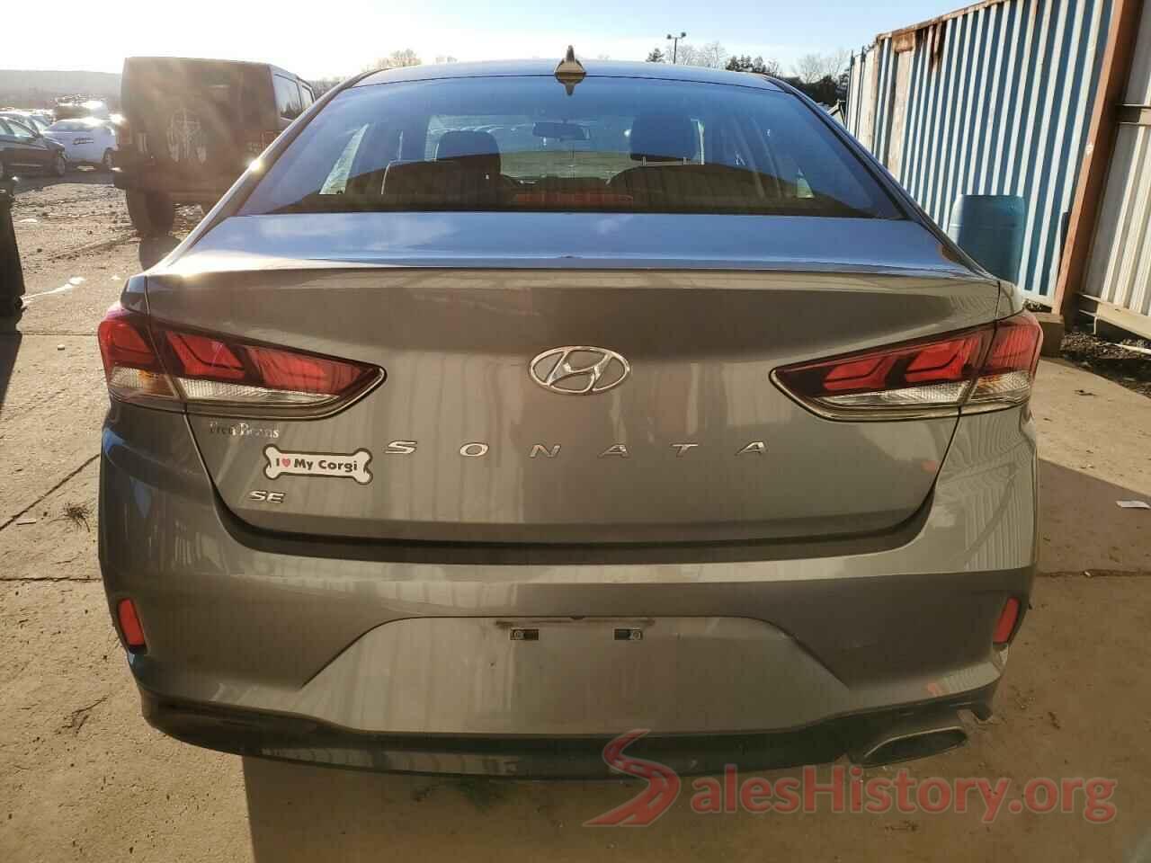 5NPE24AF4KH786496 2019 HYUNDAI SONATA