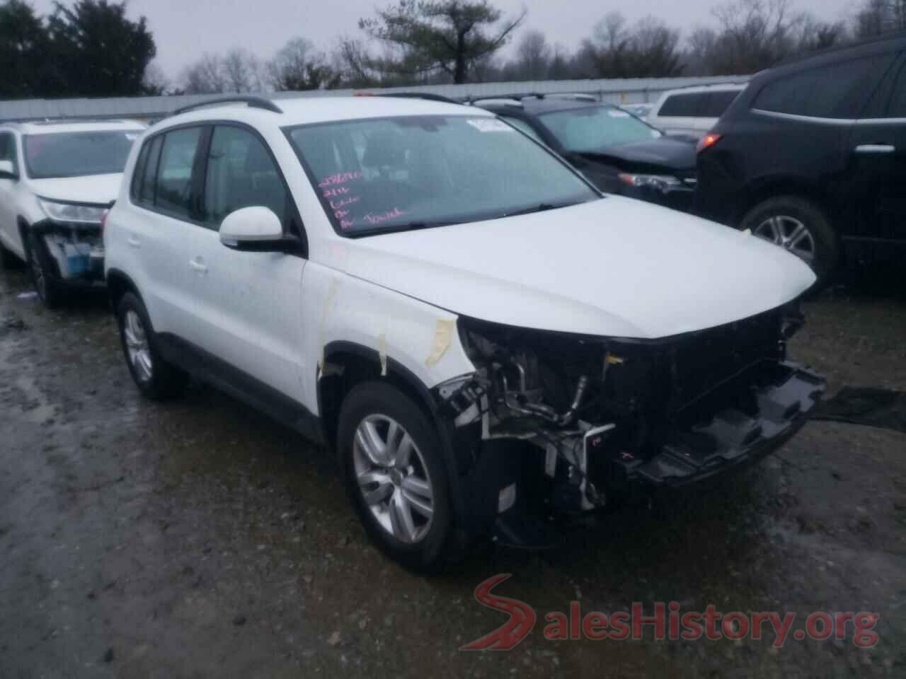 WVGBV7AX9HK026462 2017 VOLKSWAGEN TIGUAN