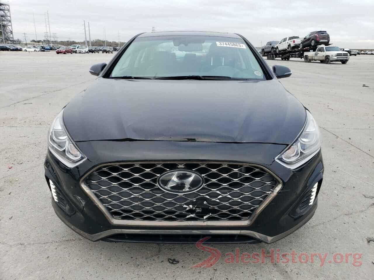 5NPE34AF0KH808068 2019 HYUNDAI SONATA