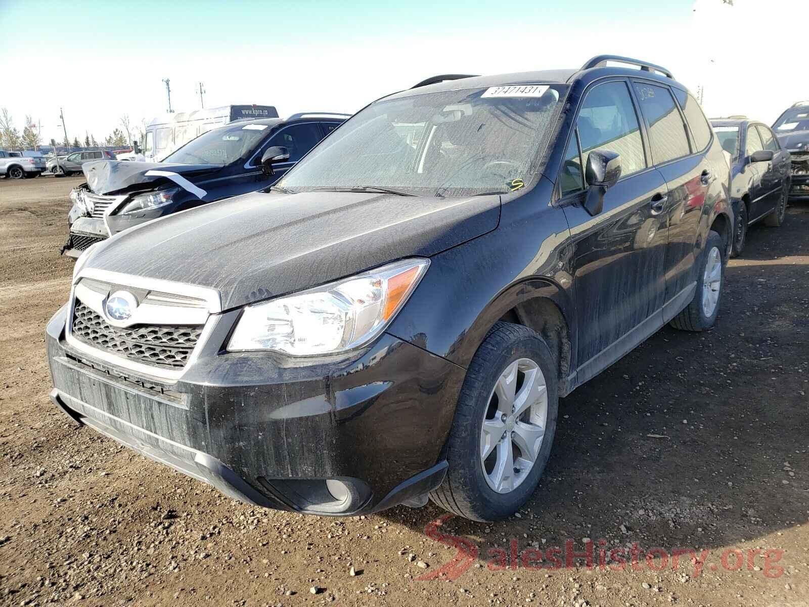 JF2SJCCC5GH443013 2016 SUBARU FORESTER