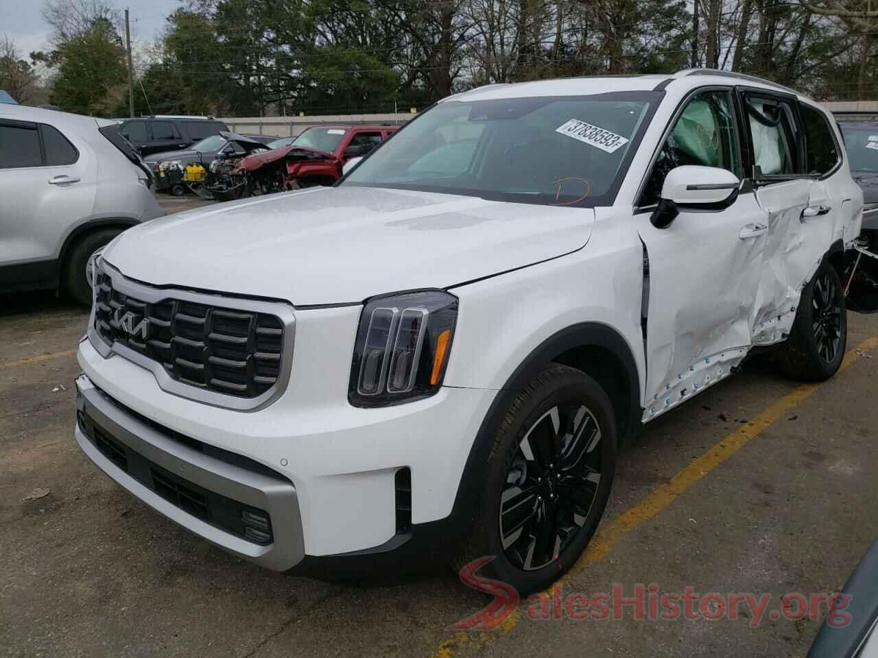 5XYP5DGC2PG351049 2023 KIA TELLURIDE