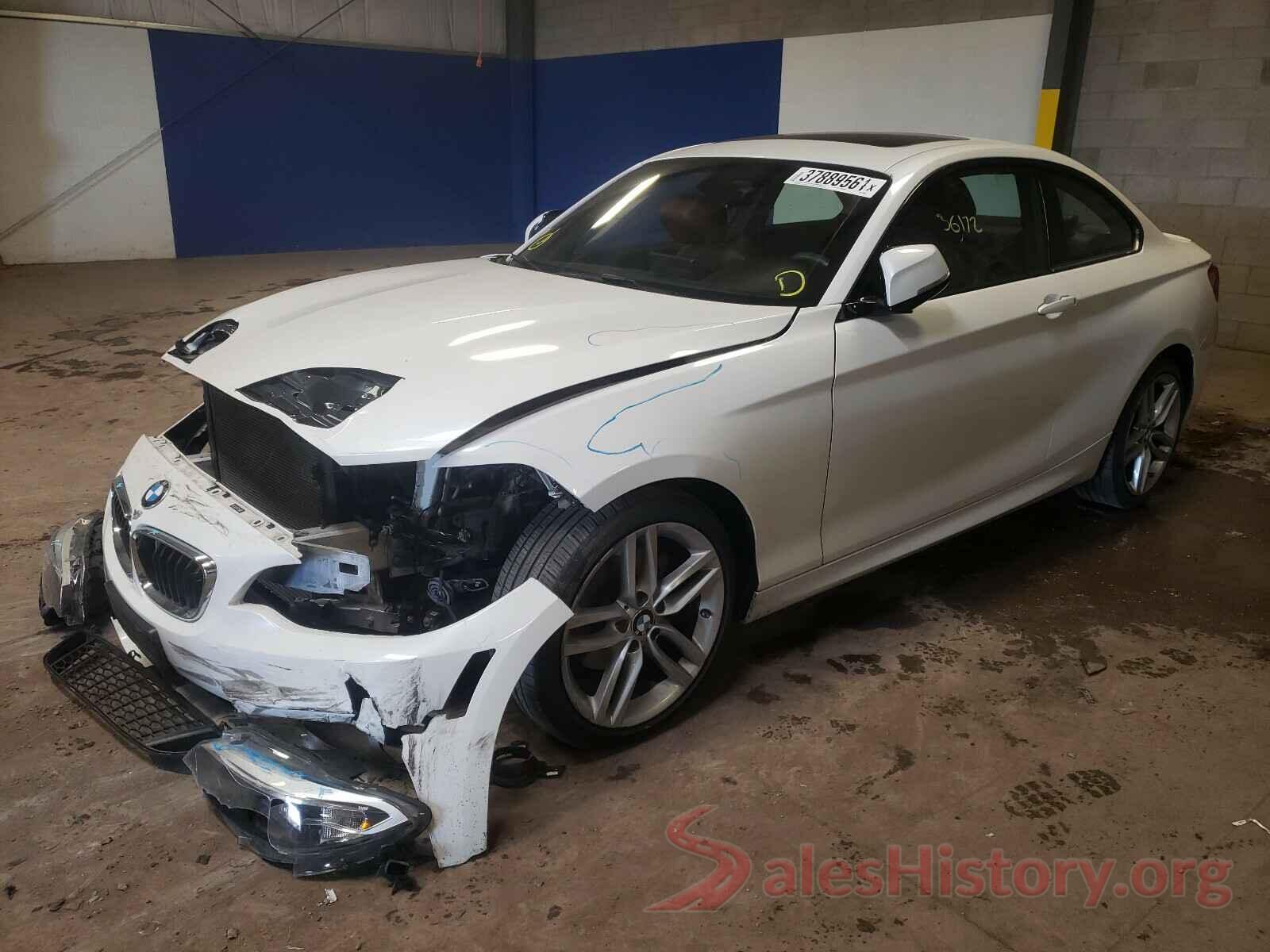 WBA1G9C52GV598551 2016 BMW 2 SERIES