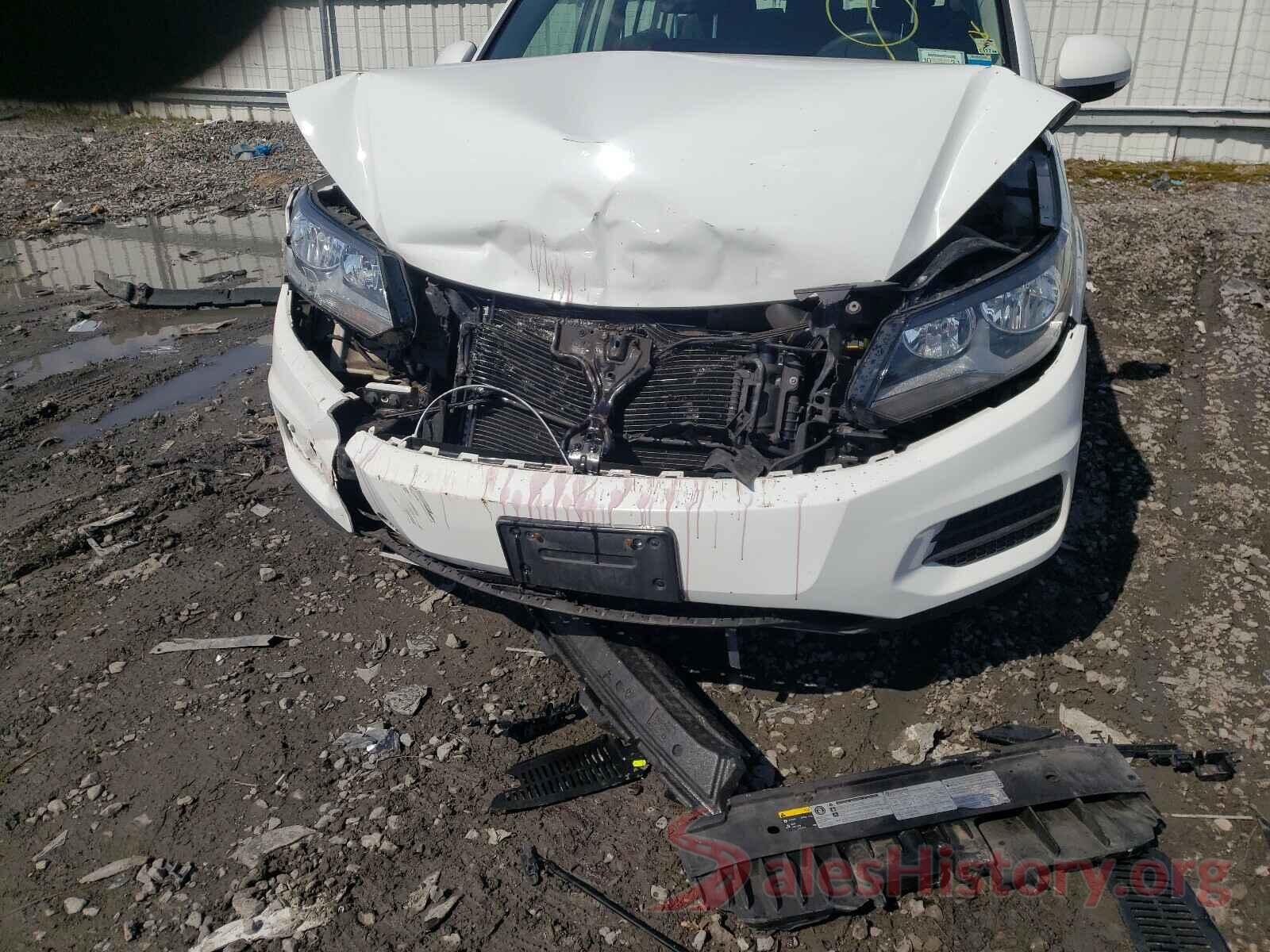 WVGBV7AX9HK043018 2017 VOLKSWAGEN TIGUAN