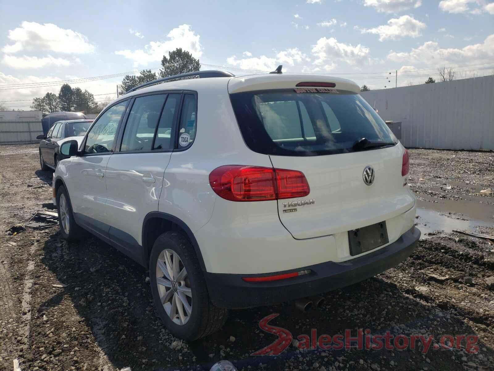 WVGBV7AX9HK043018 2017 VOLKSWAGEN TIGUAN