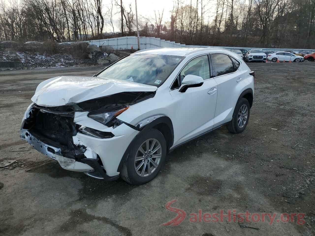 JTJAARDZ2L5018132 2020 LEXUS NX