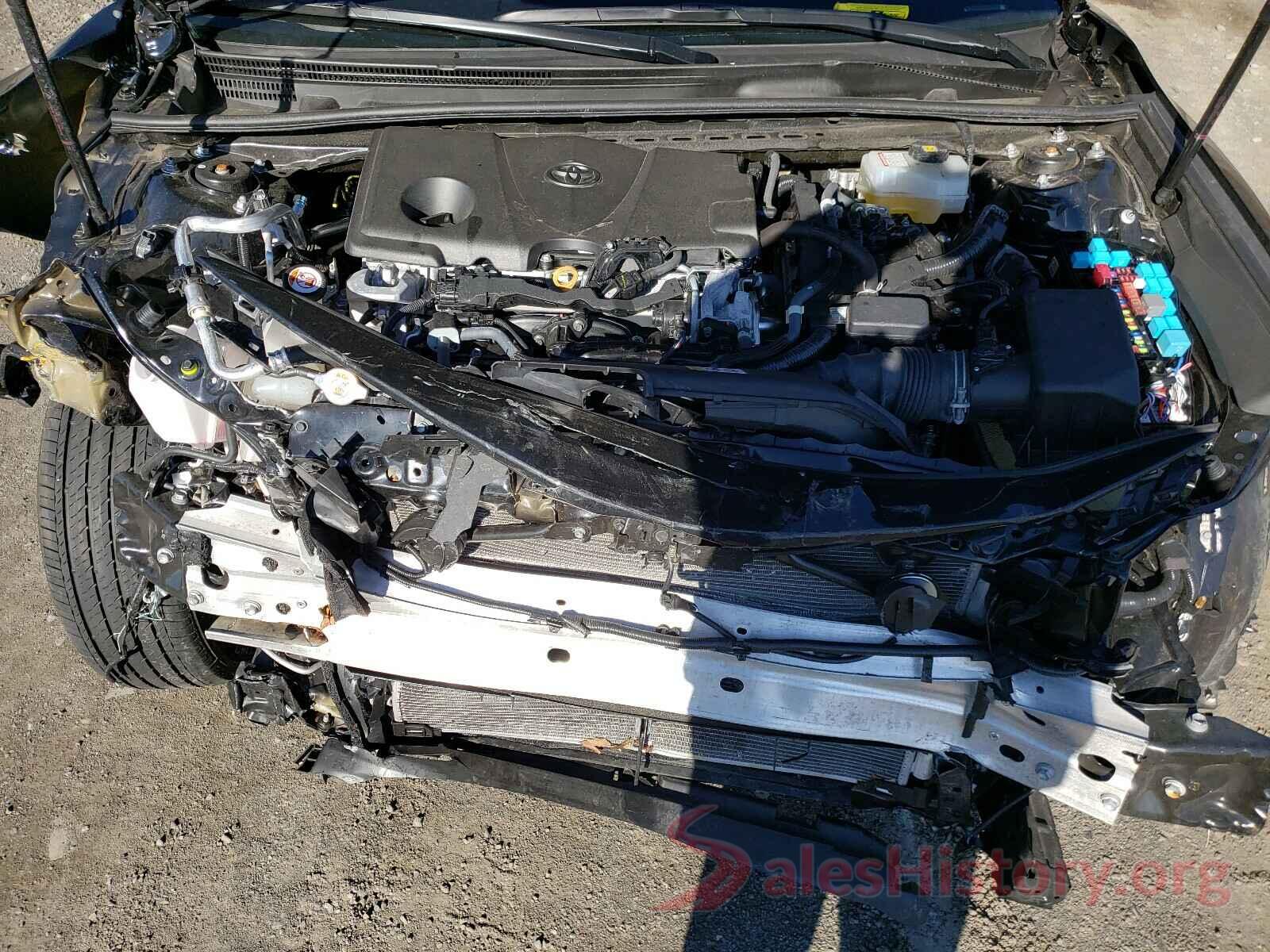 4T1B31HK9KU517039 2019 TOYOTA CAMRY