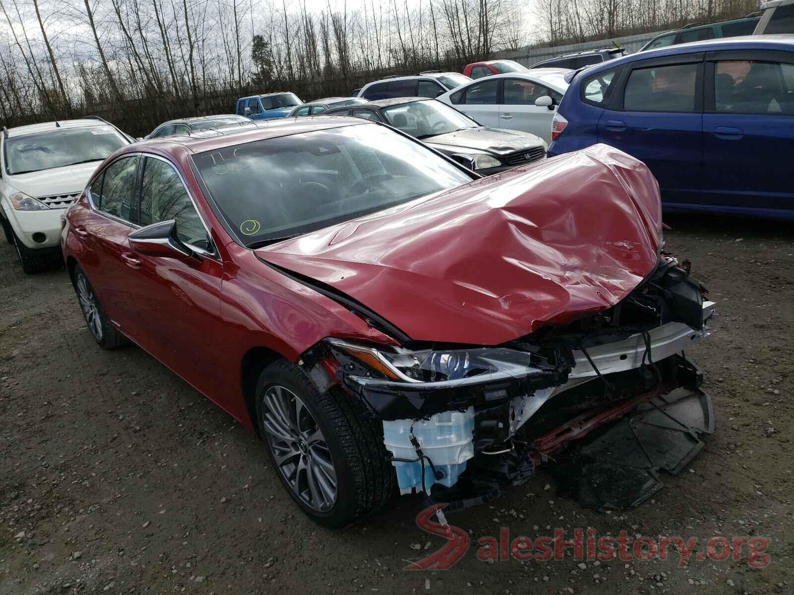 JTHB21B16K2006163 2019 LEXUS ES300