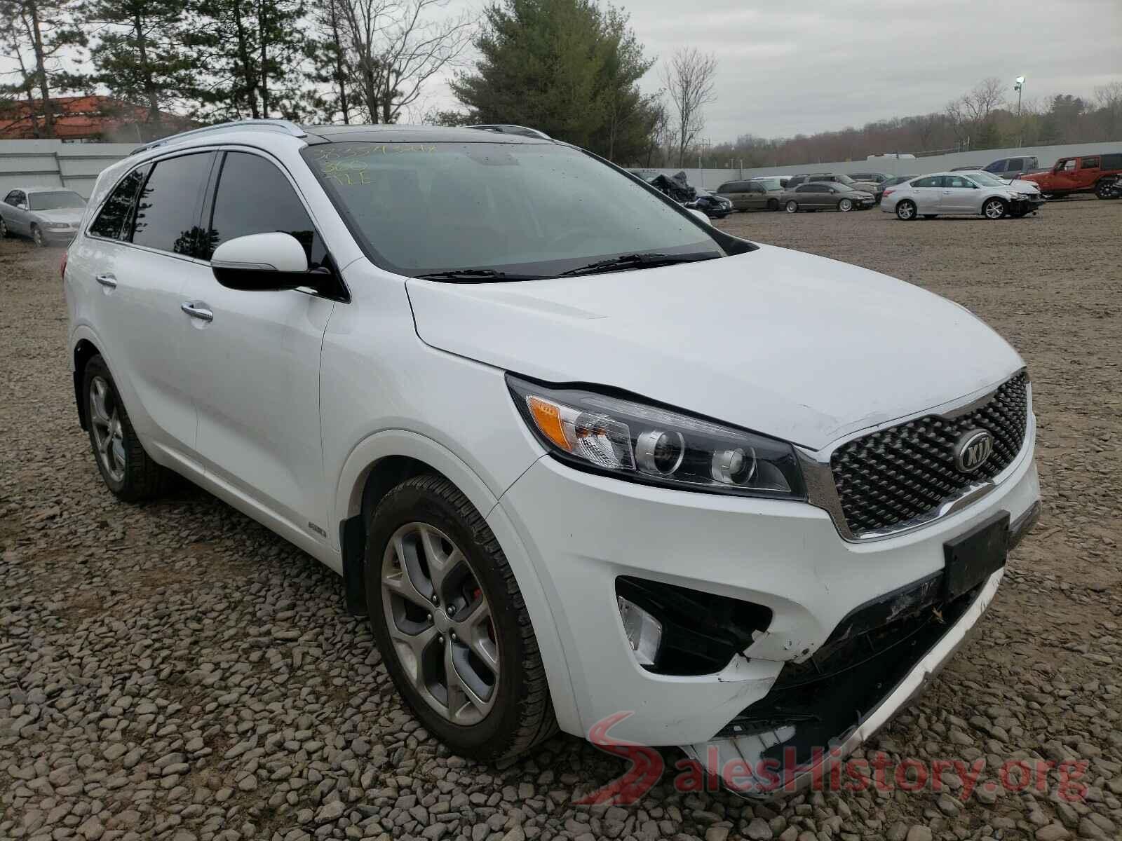 5XYPKDA53HG310420 2017 KIA SORENTO