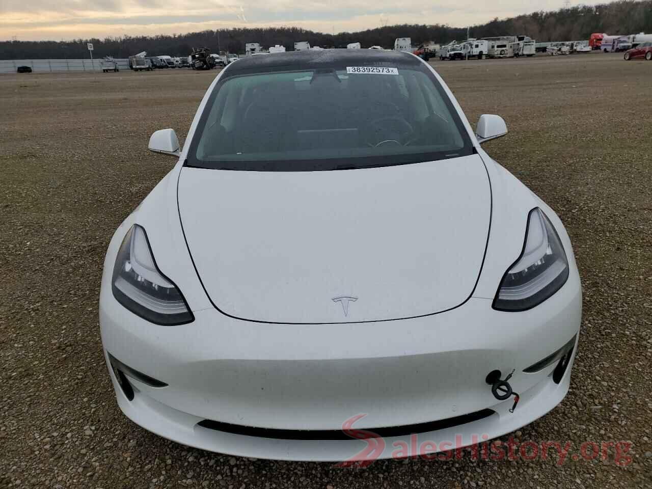 5YJ3E1EA0LF613344 2020 TESLA MODEL 3