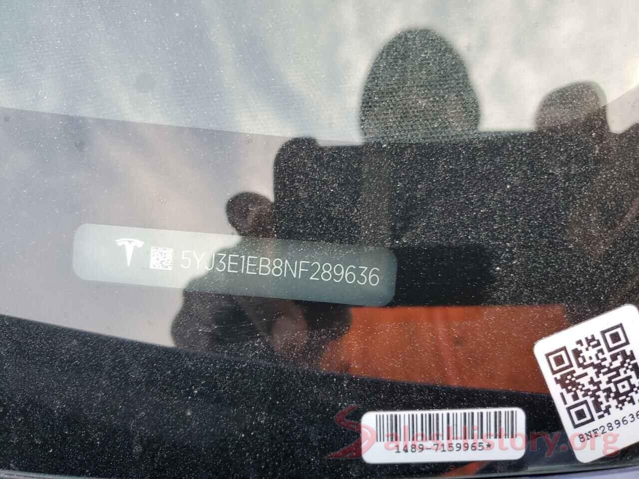 5YJ3E1EB8NF289636 2022 TESLA MODEL 3