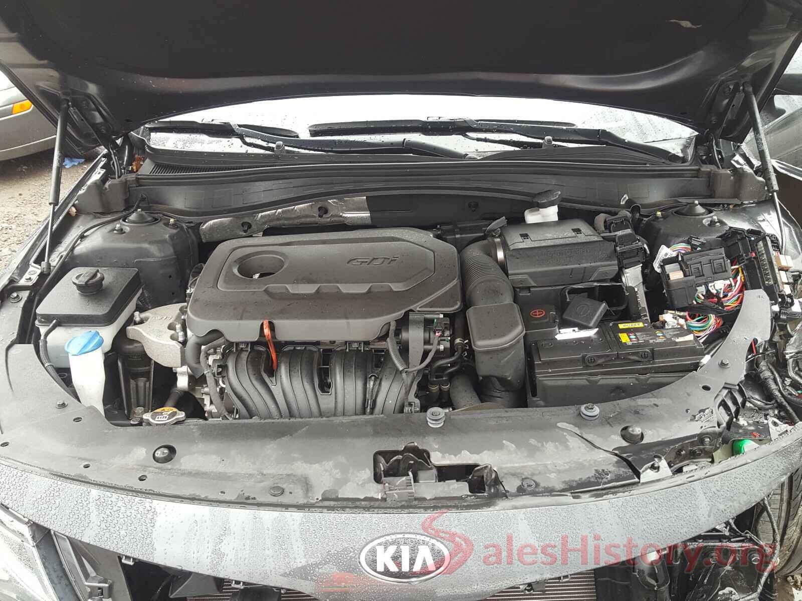 5XXGT4L31KG314499 2019 KIA OPTIMA