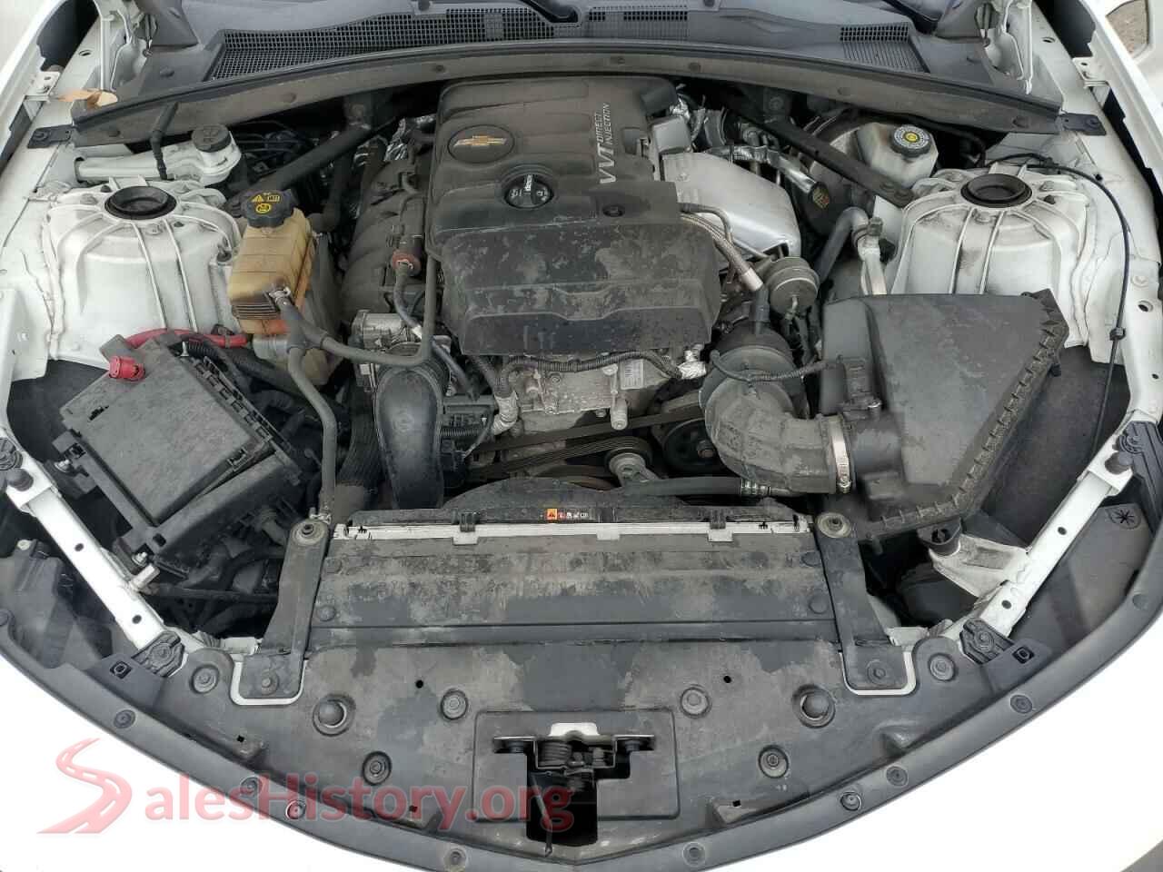 2019 CHEVROLET CAMARO VIN 1G1FB1RX7K0116723, VIN plate