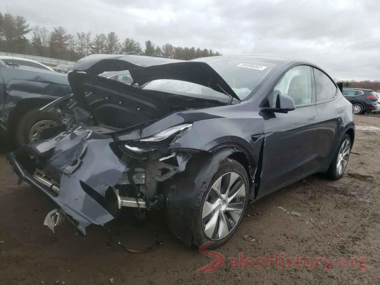 5YJYGDEE5MF060454 2021 TESLA MODEL Y