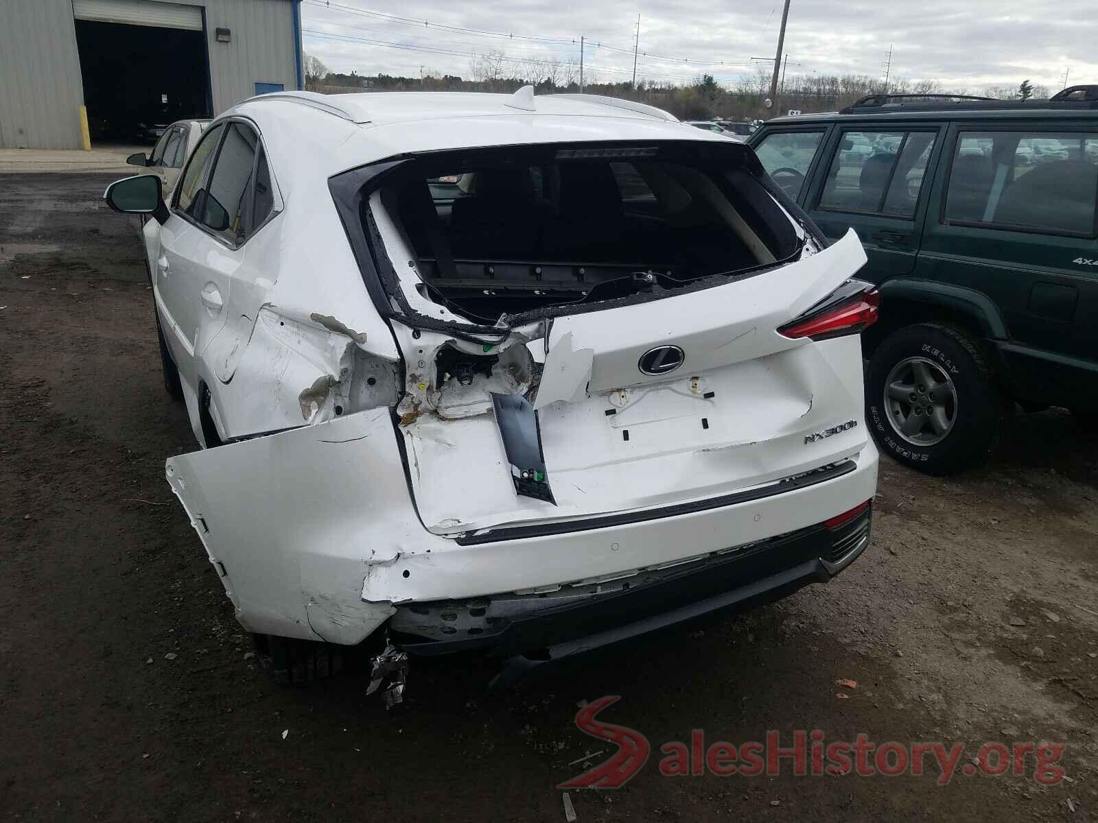 JTJBJRBZ3K2113497 2019 LEXUS NX