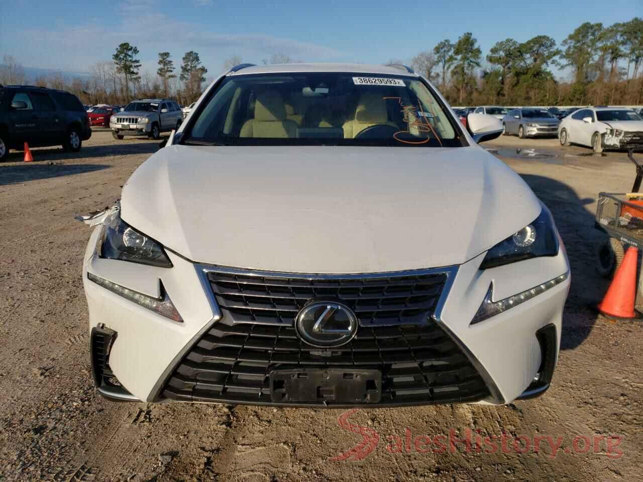 JTJDARBZ4M5025245 2021 LEXUS NX