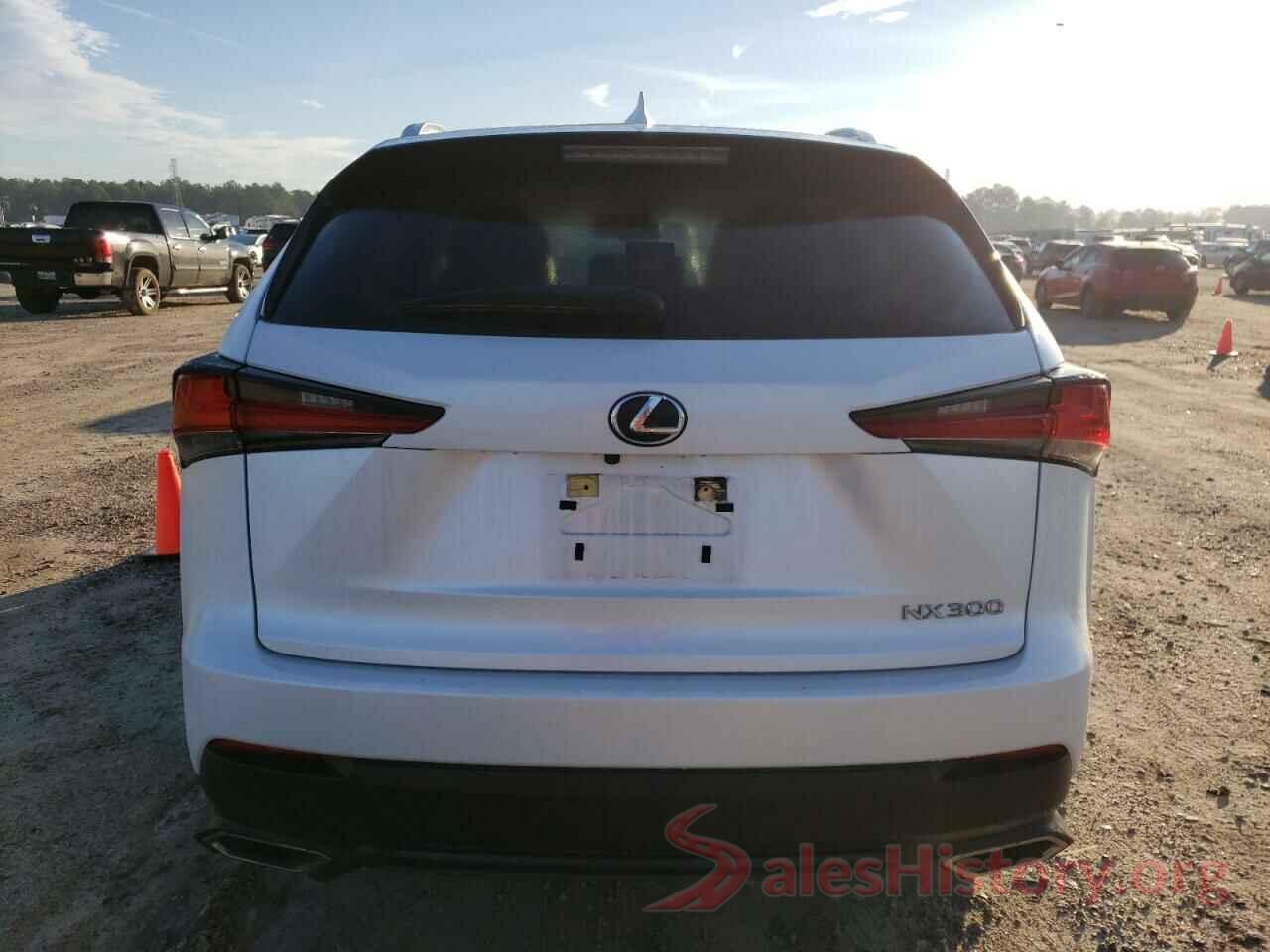 JTJDARBZ4M5025245 2021 LEXUS NX