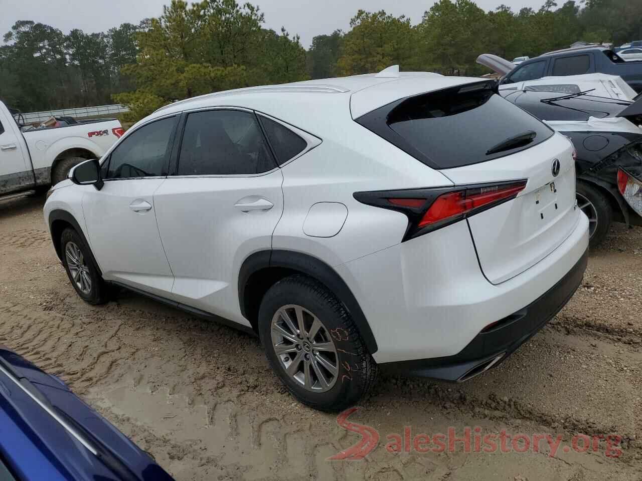 JTJDARBZ4M5025245 2021 LEXUS NX