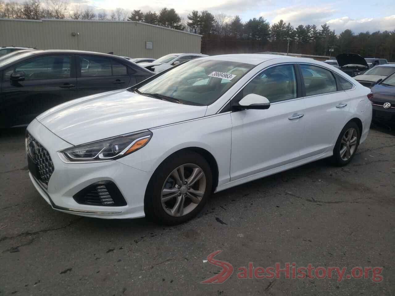 5NPE34AF7KH729111 2019 HYUNDAI SONATA