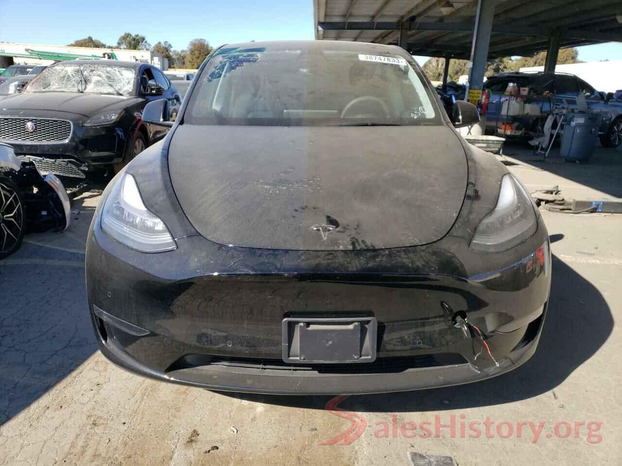 5YJYGDEE7MF229812 2021 TESLA MODEL Y