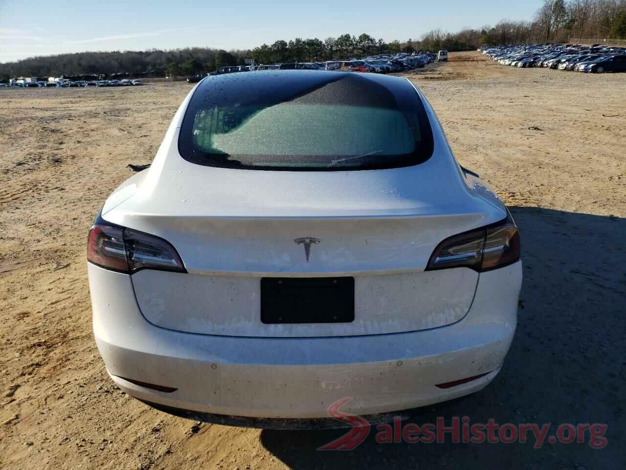 5YJ3E1EA6LF658773 2020 TESLA MODEL 3