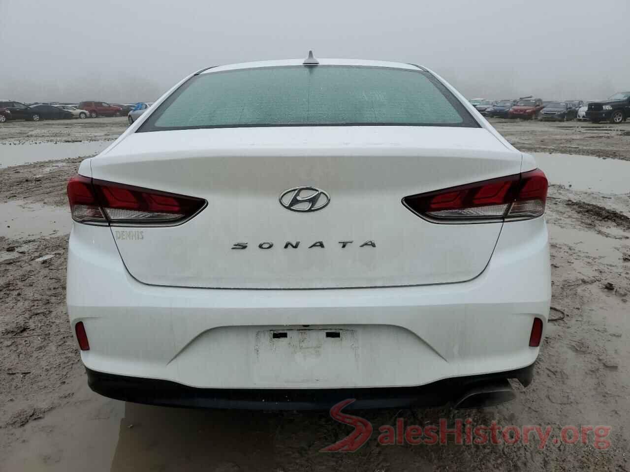 5NPE34AF8KH802969 2019 HYUNDAI SONATA