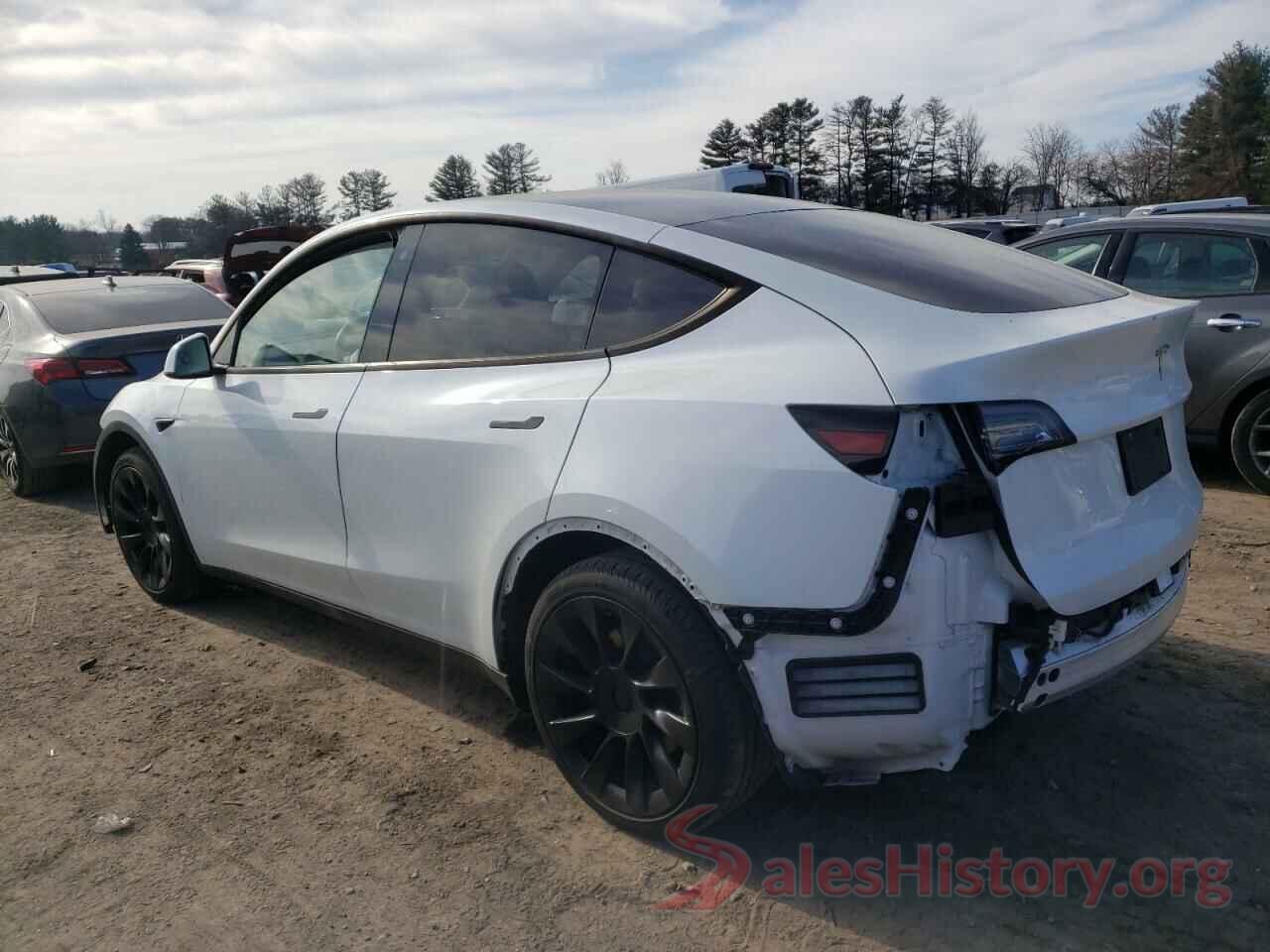 5YJYGDEE9LF030940 2020 TESLA MODEL Y