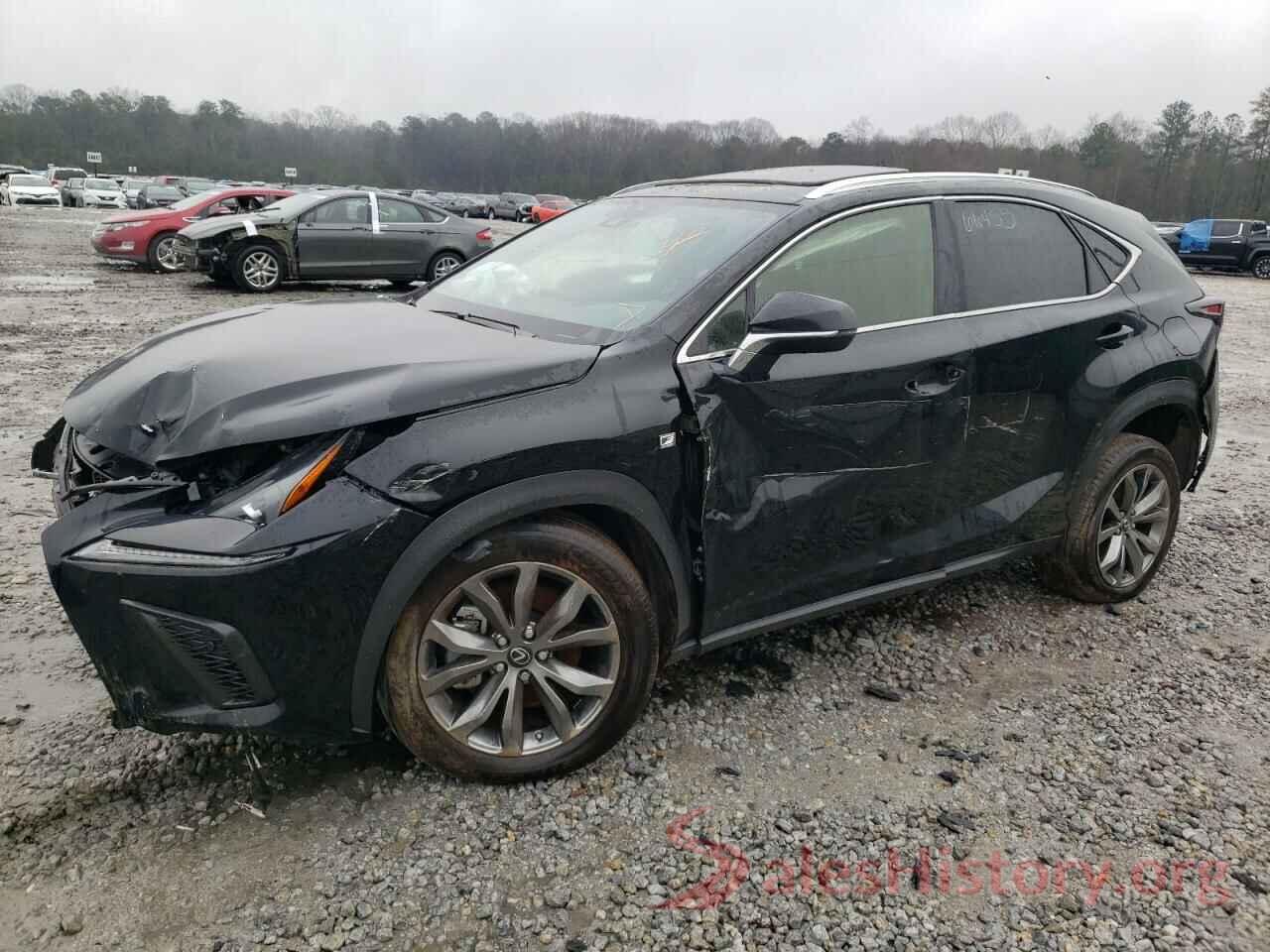 JTJSARBZ7M2183247 2021 LEXUS NX