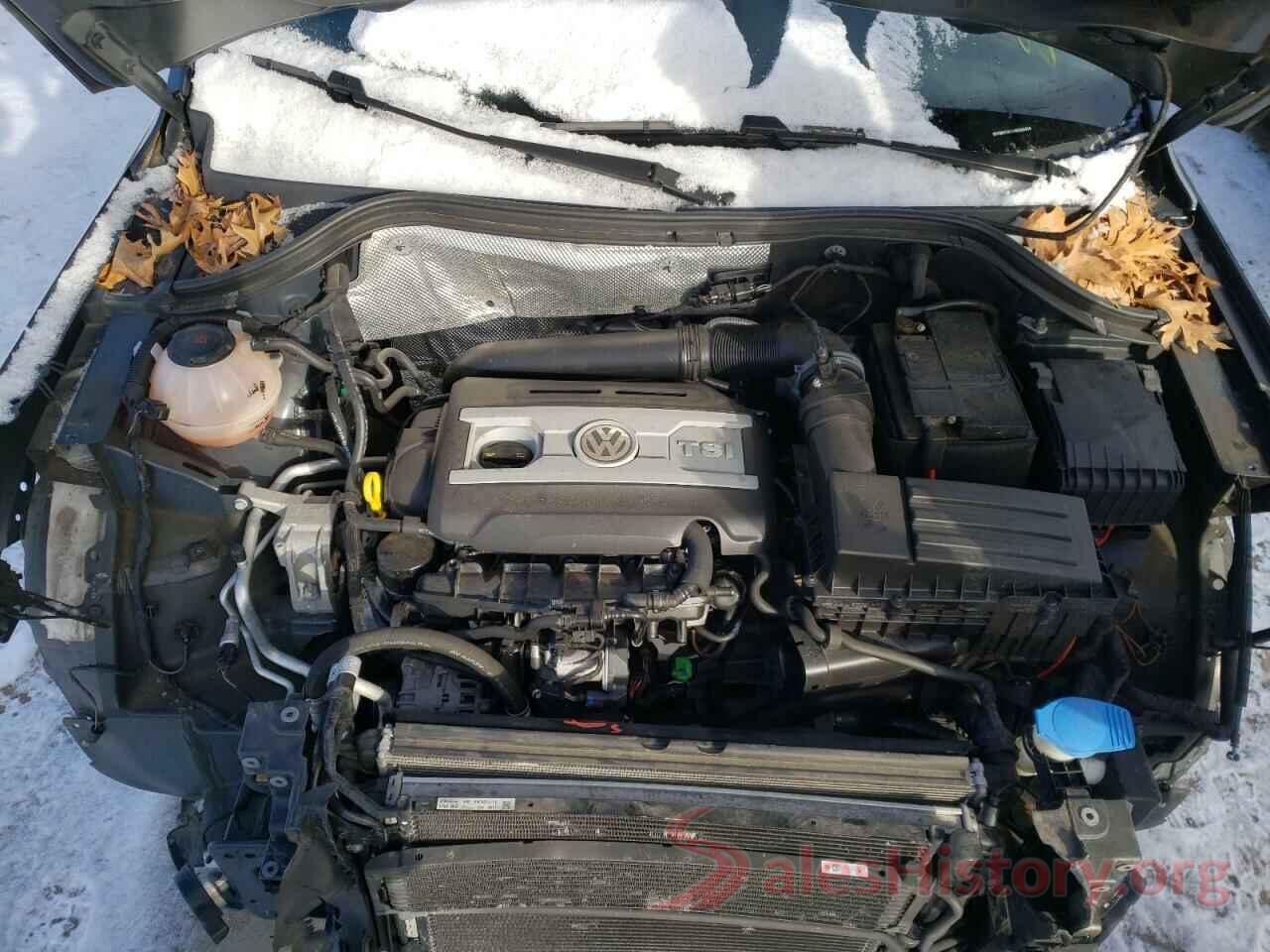 WVGBV7AX0HK052559 2017 VOLKSWAGEN TIGUAN