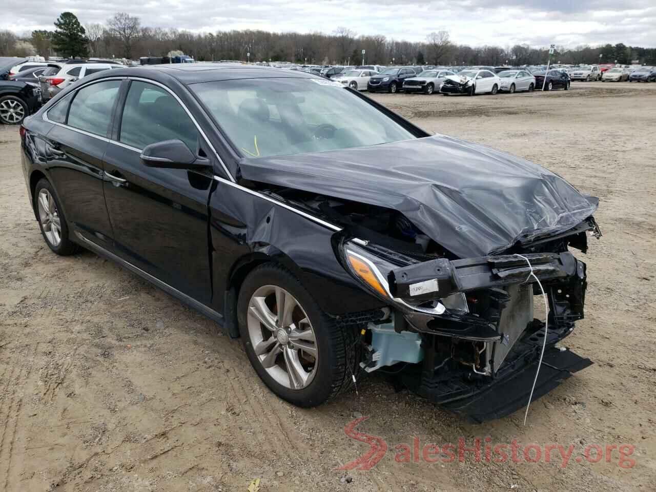 5NPE34AF5KH770644 2019 HYUNDAI SONATA