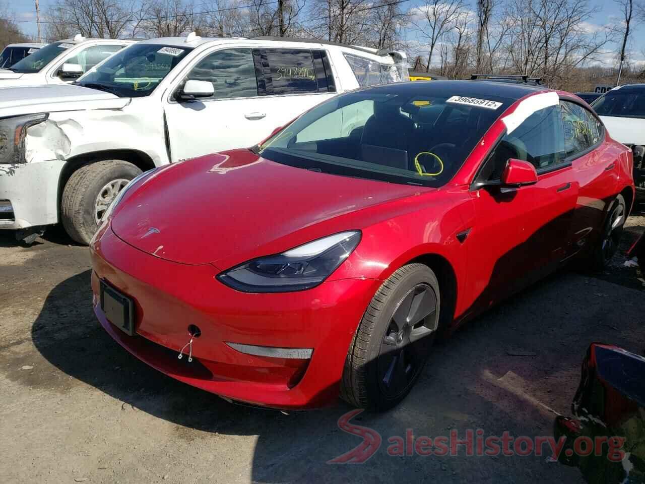 5YJ3E1EB7MF916034 2021 TESLA MODEL 3