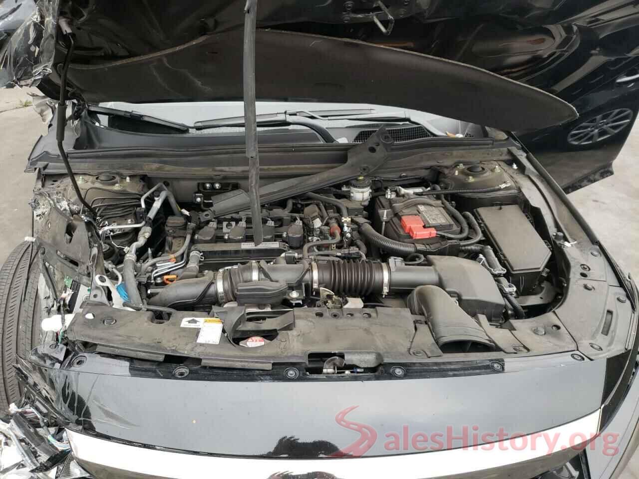 1HGCV1F31KA128459 2019 HONDA ACCORD