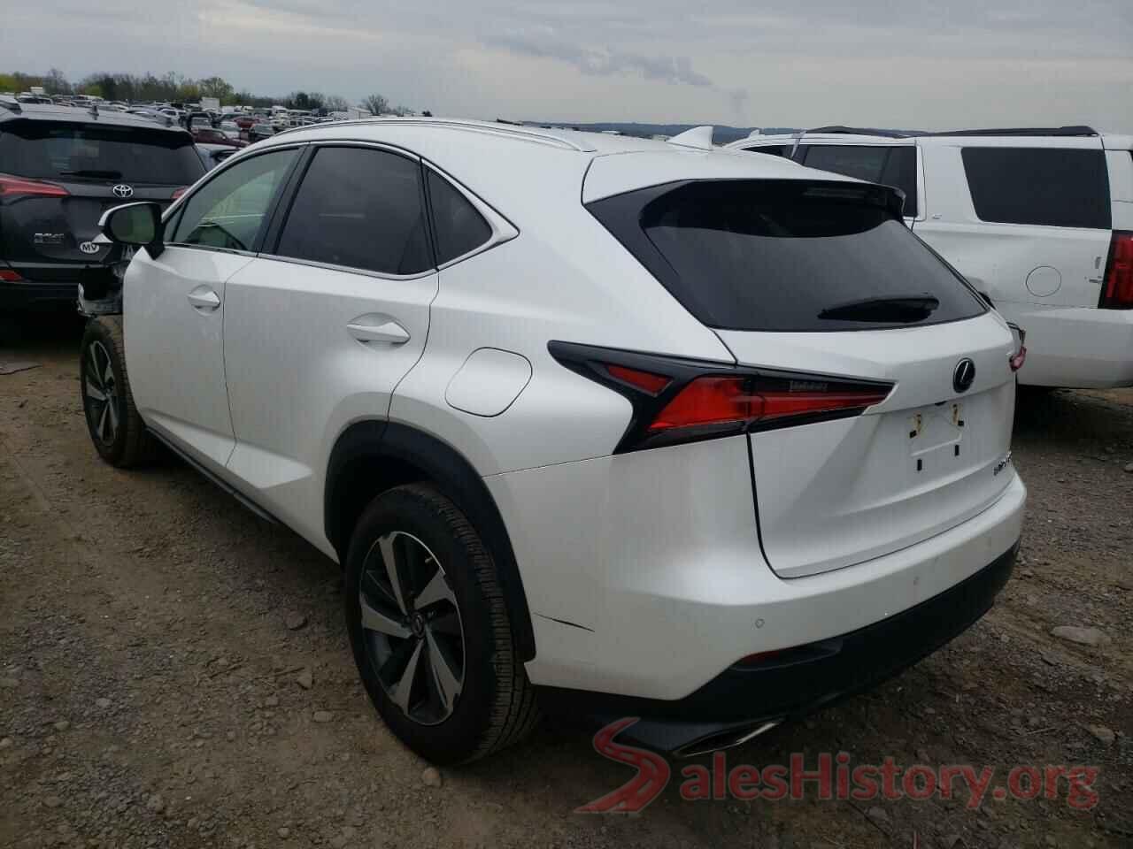 JTJBARBZ7K2215529 2019 LEXUS NX