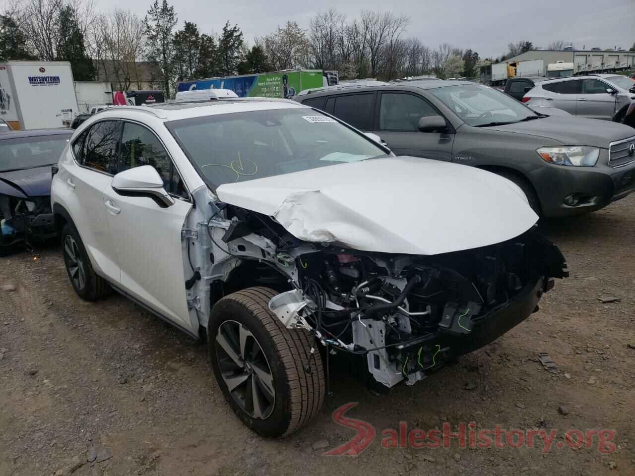 JTJBARBZ7K2215529 2019 LEXUS NX