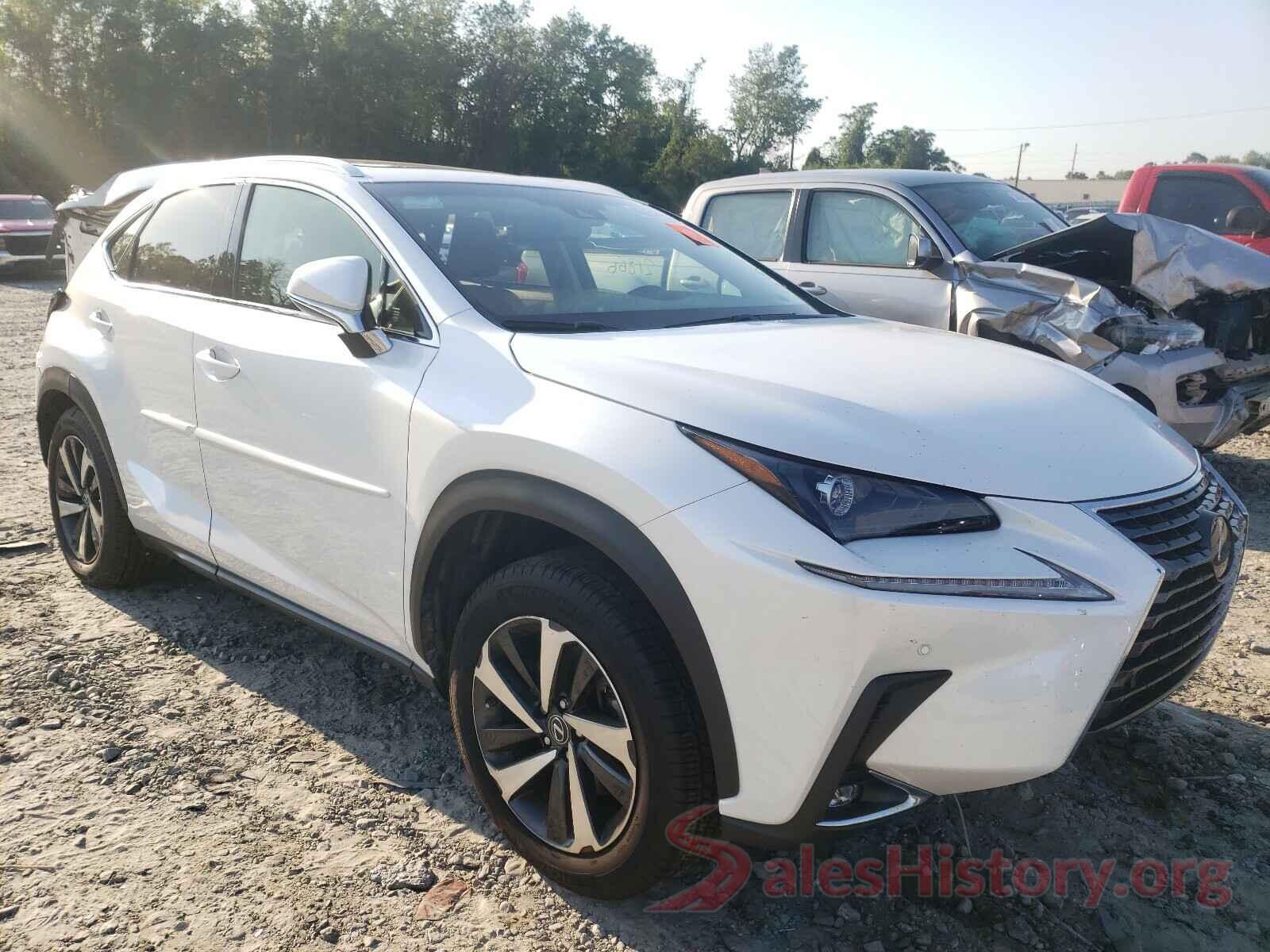 JTJBARBZ9K2211871 2019 LEXUS NX