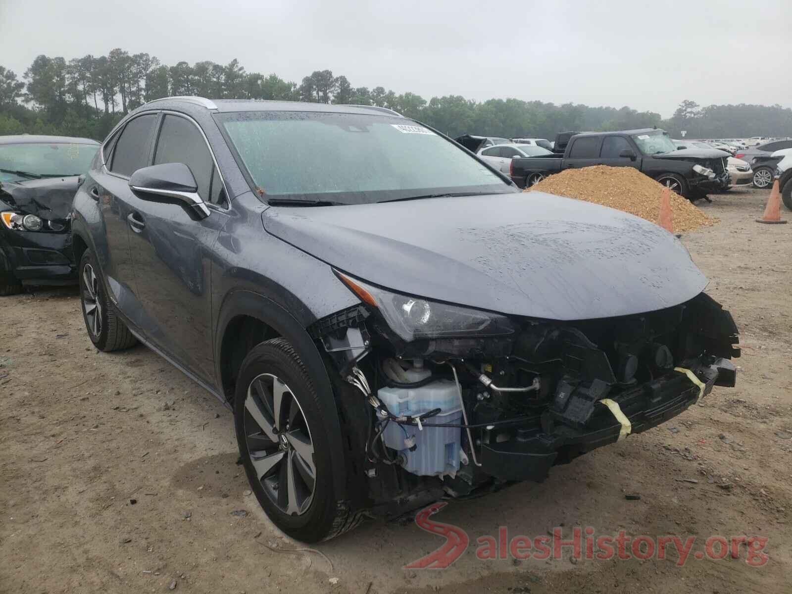 JTJBJRBZ0K2098201 2019 LEXUS NX