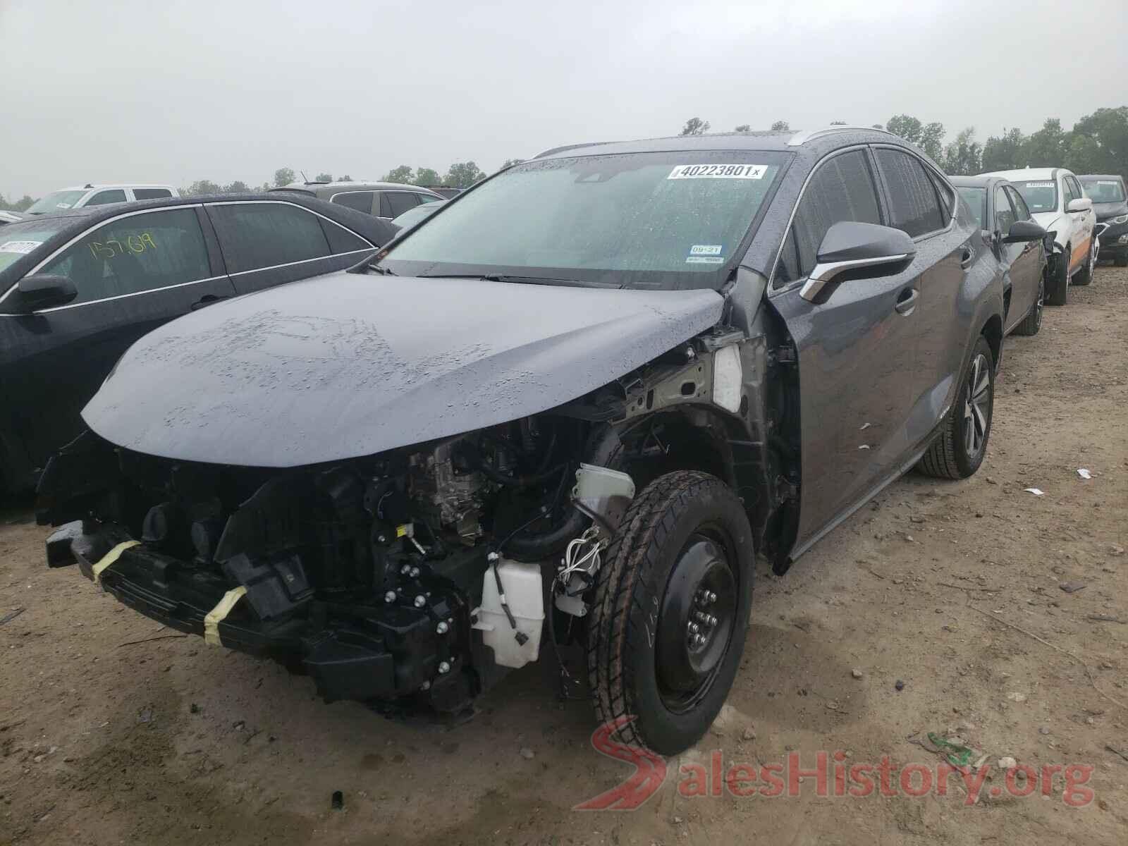 JTJBJRBZ0K2098201 2019 LEXUS NX