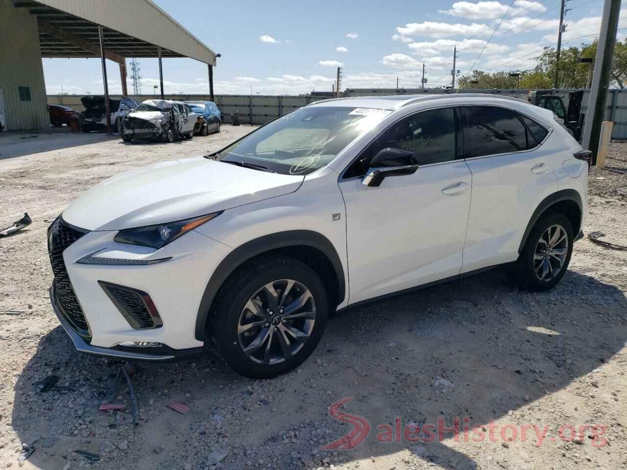 JTJSARBZ8M5029841 2021 LEXUS NX