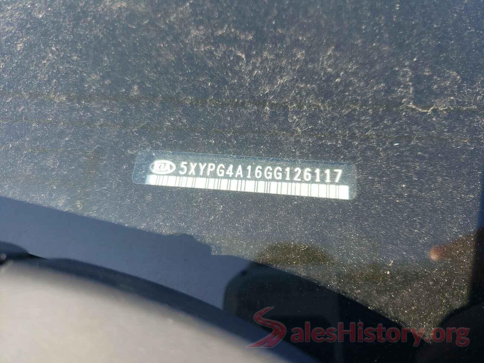 5XYPG4A16GG126117 2016 KIA SORENTO