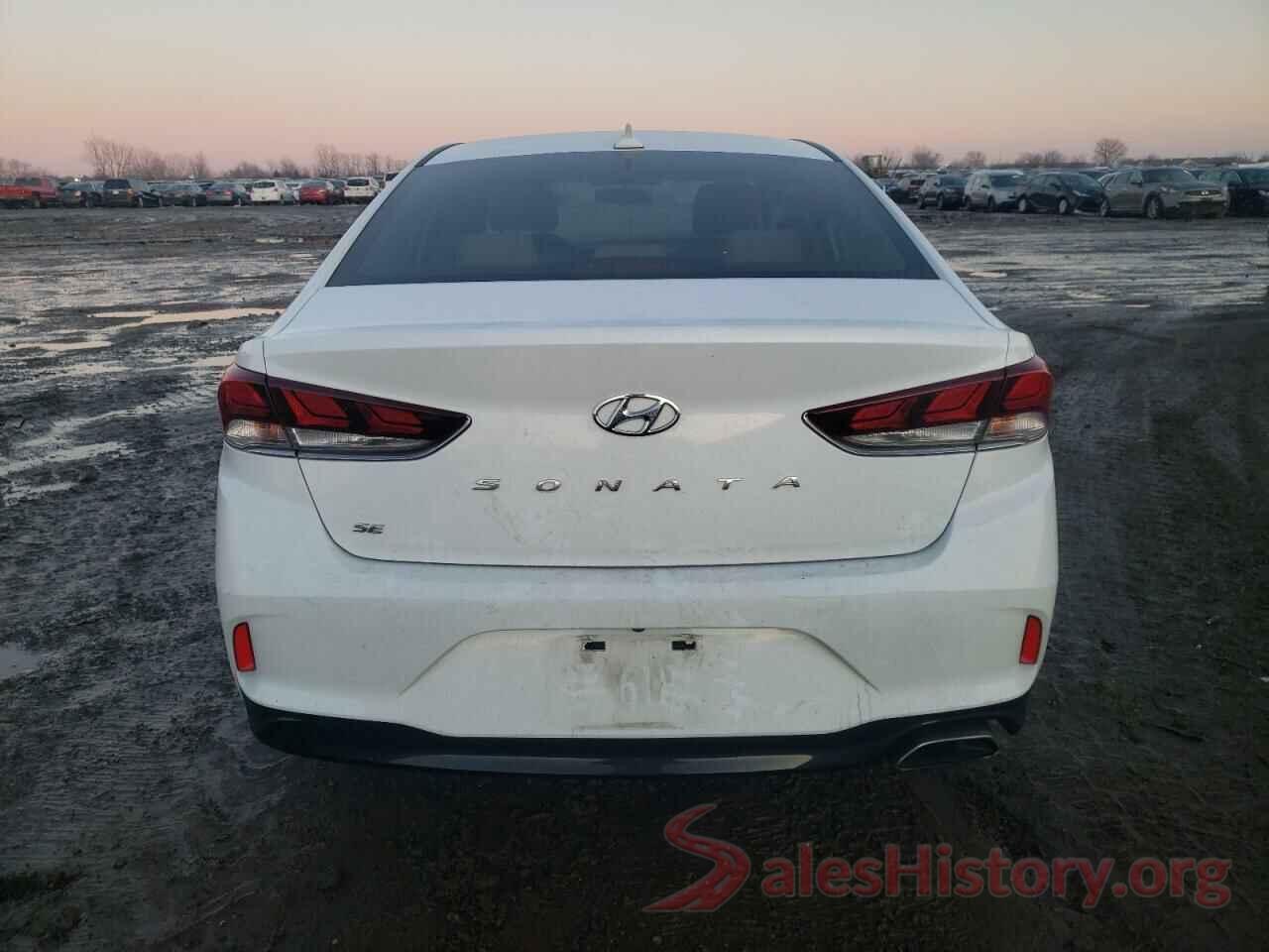 5NPE24AF8KH816051 2019 HYUNDAI SONATA