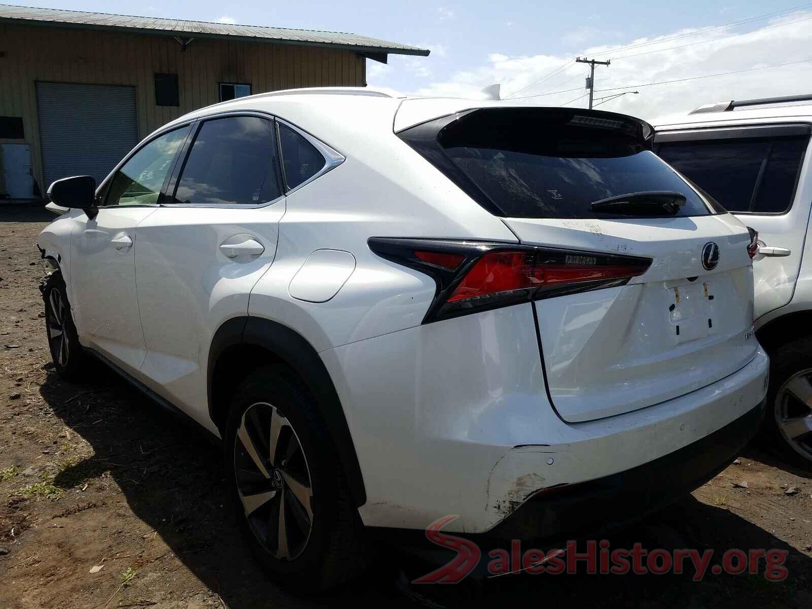 JTJYARBZ4K2120503 2019 LEXUS NX