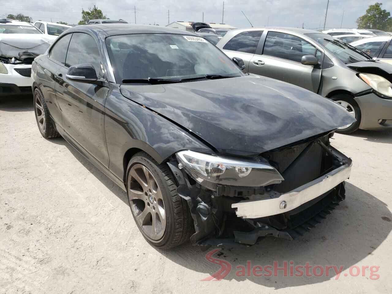 WBA2F9C33HV664998 2017 BMW 2 SERIES