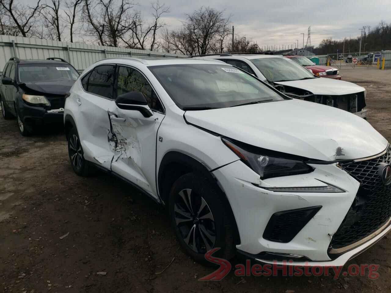 JTJSARDZ7L2232345 2020 LEXUS NX