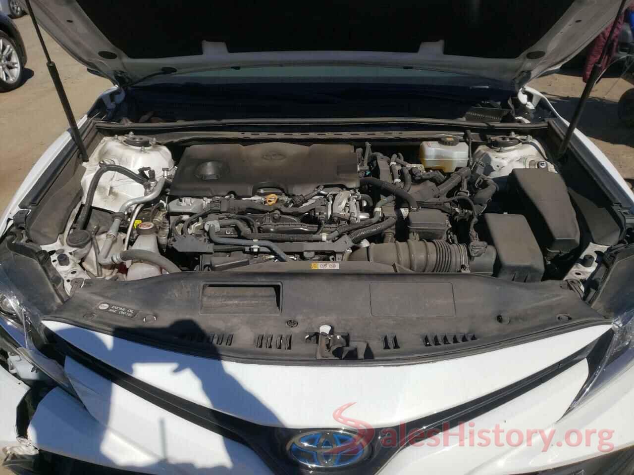 4T1B31HK6KU512381 2019 TOYOTA CAMRY