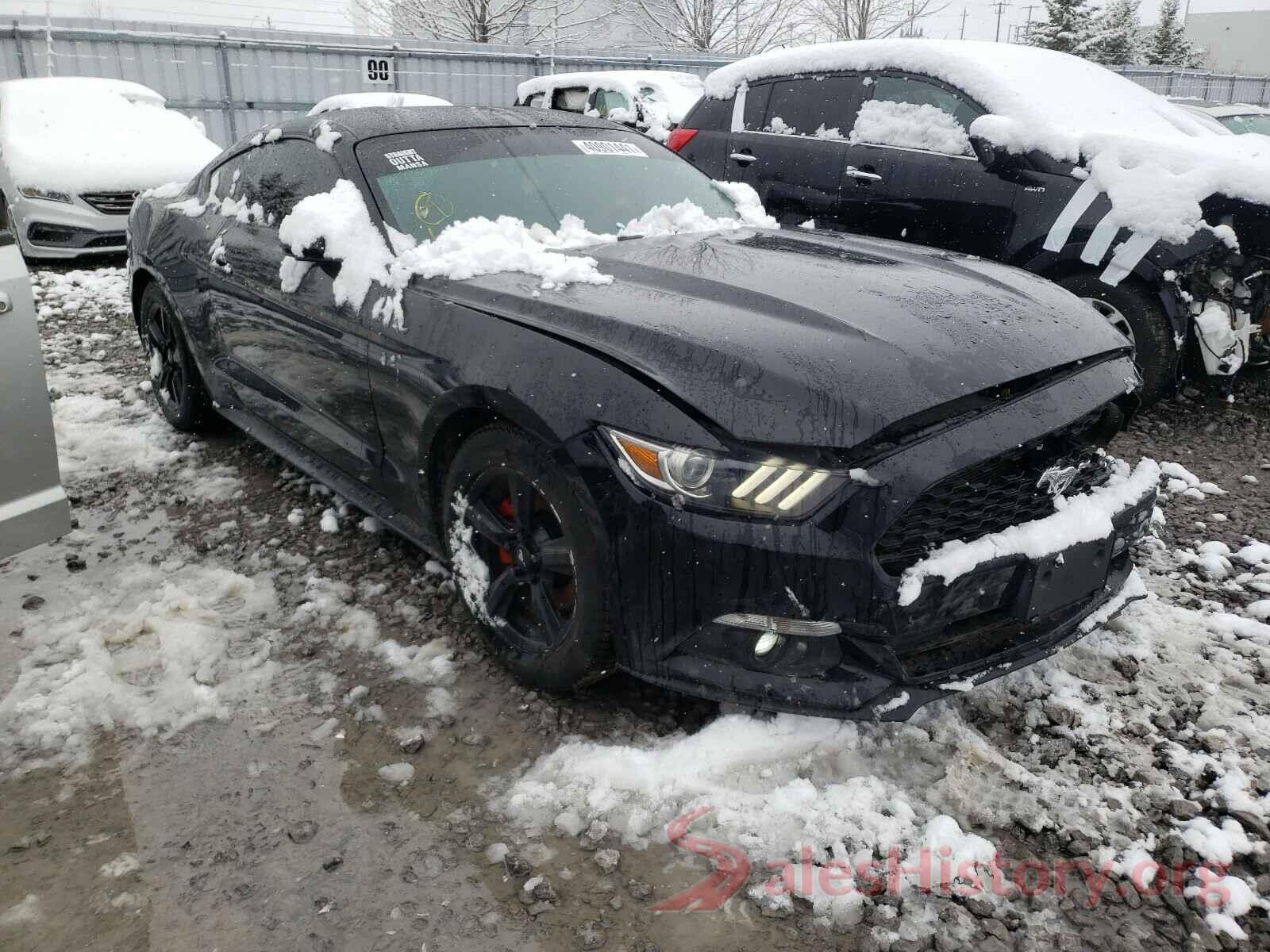 1FA6P8AMXG5305658 2016 FORD MUSTANG