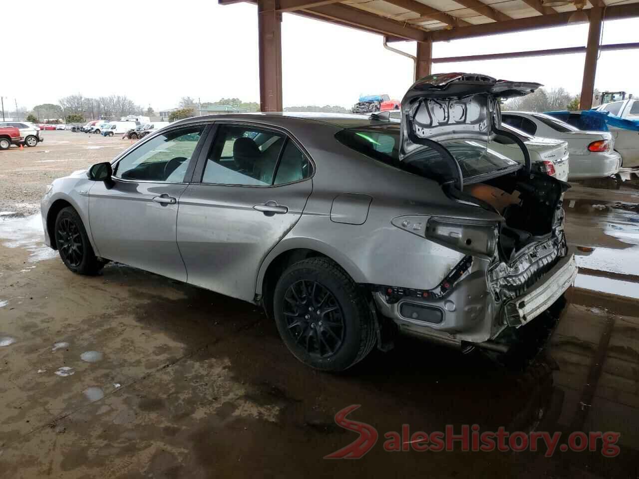 4T1B31HK0KU009042 2019 TOYOTA CAMRY