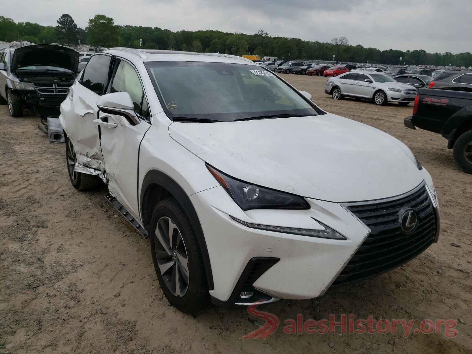 JTJYARBZ4K2137043 2019 LEXUS NX