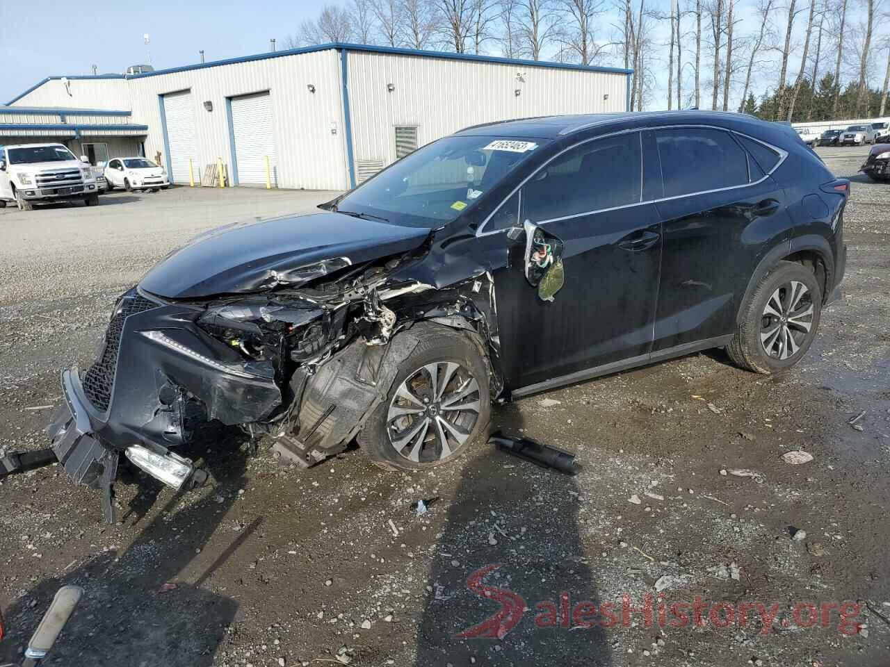 JTJSARDZ3M2260032 2021 LEXUS NX