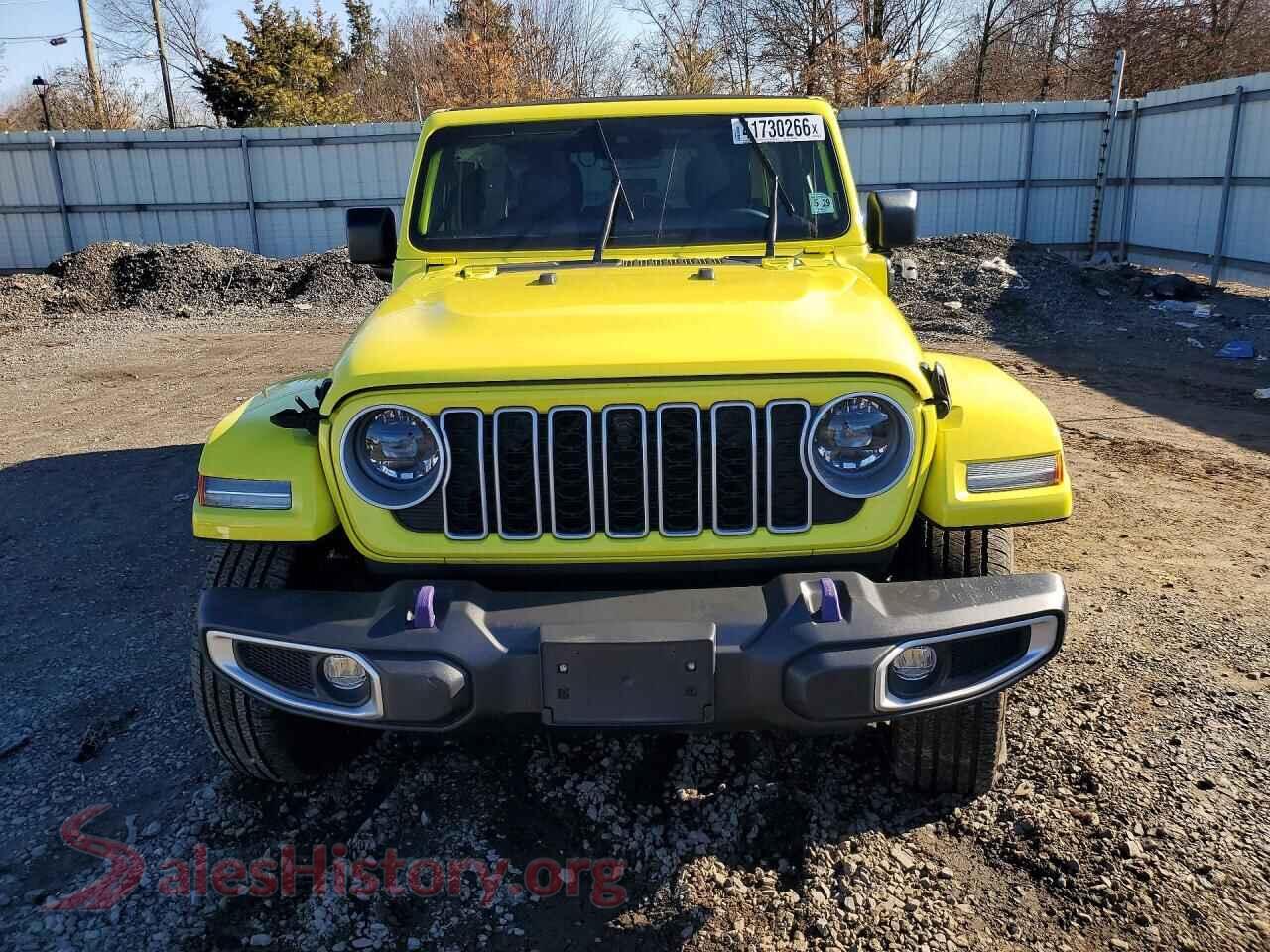 2024 JEEP WRANGLER VIN 1C4RJXP66RW215254, rear view